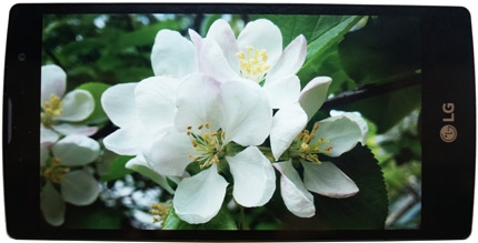 фото LG G4C дисплей - 2