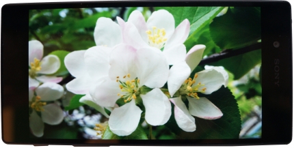 фото Sony Xperia z5 дисплей - 2