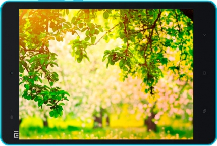 фото Xiaomi MiPad 2 дисплей - 2