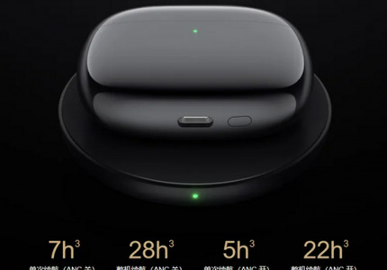 FlipBuds Pro