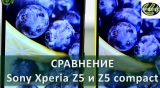 Плашка видеосравнения в котором участвует Sony Xperia Z5 Compact
